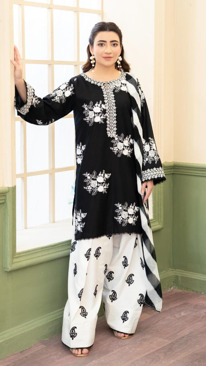 DHANAK EMBROIDERED 3PC thumbnail 3